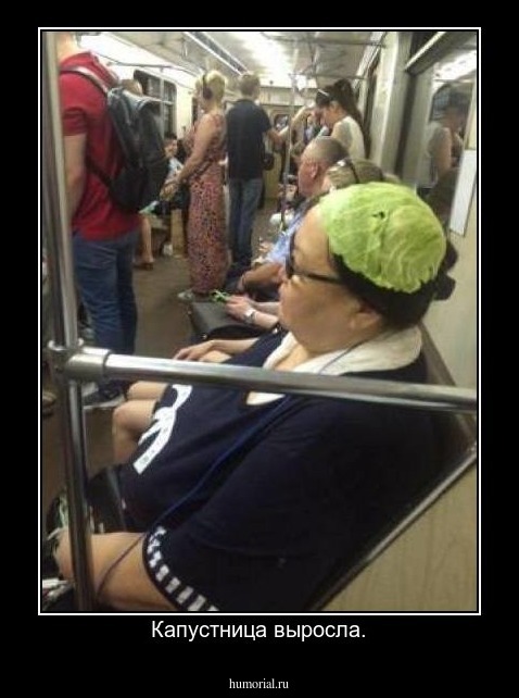 Капустница выросла.
