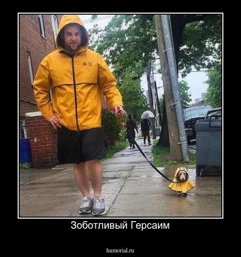 Зоботливый Герсаим