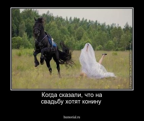 Когда сказали, что на свадьбу хотят конину 
