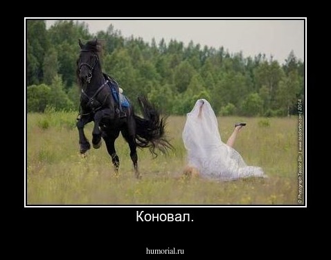 Коновал.