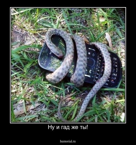 Ну и гад же ты!