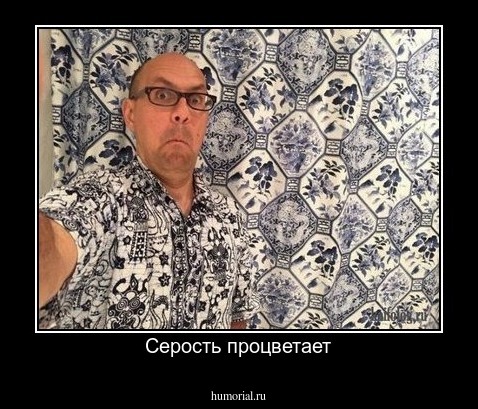 Серость процветает