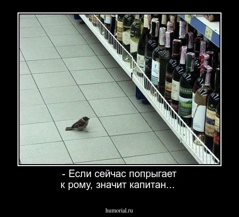 - Если сейчас попрыгает к рому, значит капитан...