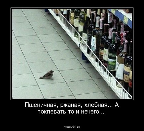 Пшеничная, ржаная, хлебная... А поклевать-то и нечего...