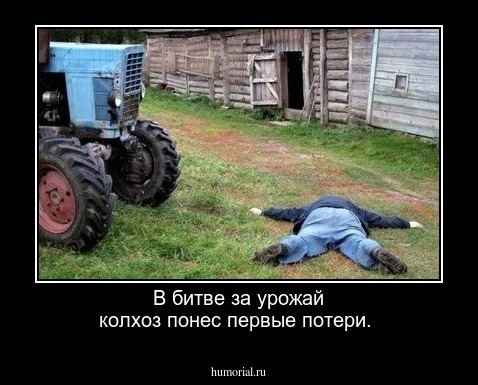 В битве за урожай колхоз понес первые потери.