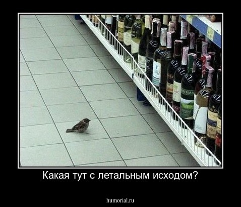 Какая тут с летальным исходом?