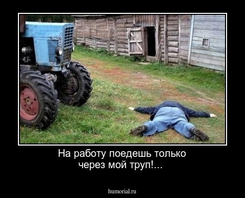 На работу поедешь только через мой труп!...