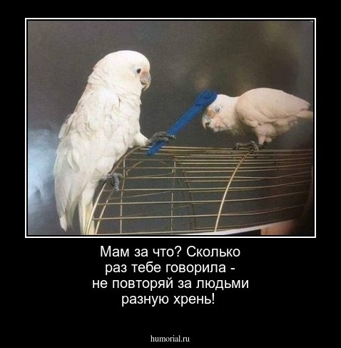 Мам за что? Сколько раз тебе говорила - не повторяй за людьми разную хрень!