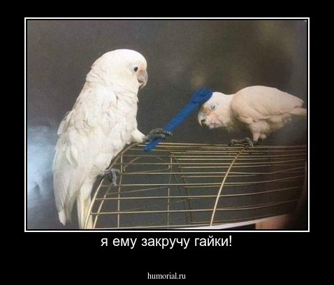 я ему закручу гайки!