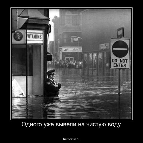 Одного уже вывели на чистую воду