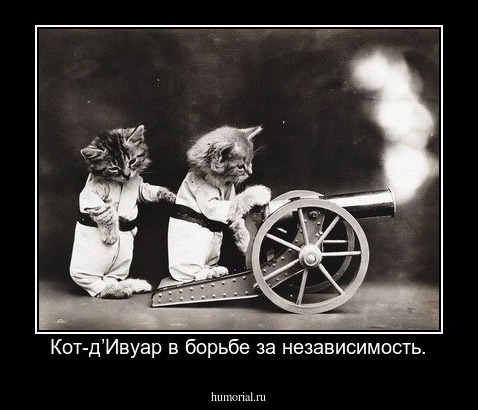 Кот-д’Ивуар в борьбе за независимость.