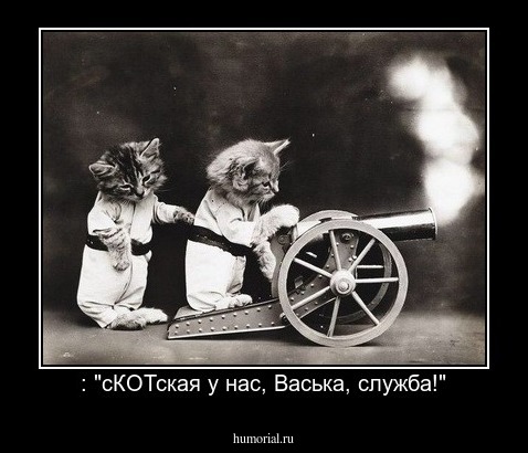 : "сКОТская у нас, Васька, служба!"