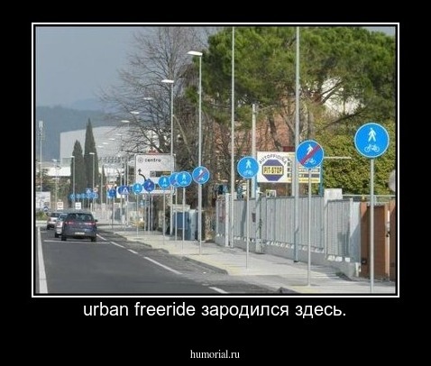 urban freeride зародился здесь.