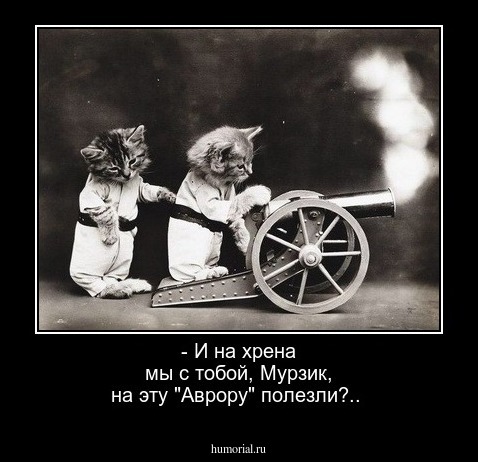 - И на хрена мы с тобой, Мурзик, на эту "Аврору" полезли?..