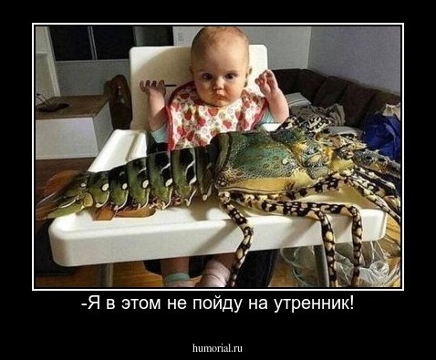 -Я в этом не пойду на утренник!