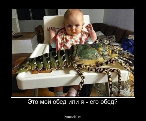 Это мой обед или я - его обед?