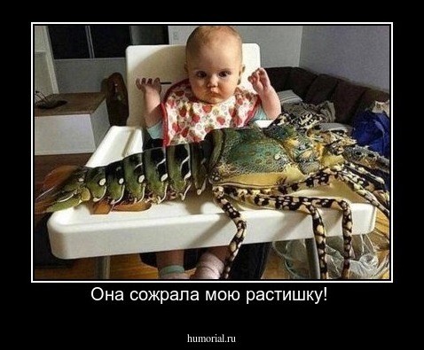 Она сожрала мою растишку! 