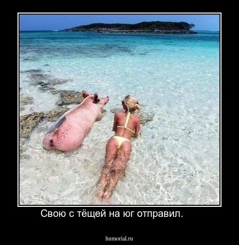 Свою с тёщей на юг отправил.     