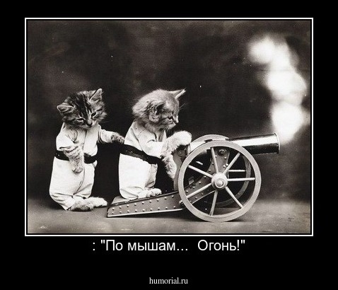 : "По мышам...  Огонь!"