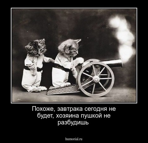 Похоже, завтрака сегодня не будет, хозяина пушкой не разбудишь
