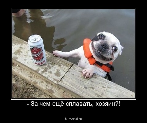 - За чем ещё сплавать, хозяин?!