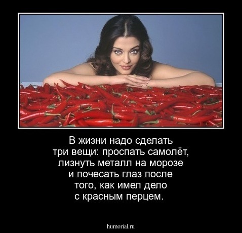 В жизни надо сделать три вещи: 
проспать самолёт, лизнуть металл на морозе и почесать глаз после того, как имел дело с красным перцем.
