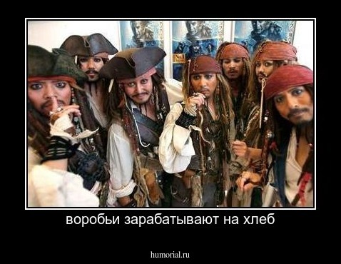 воробьи зарабатывают на хлеб