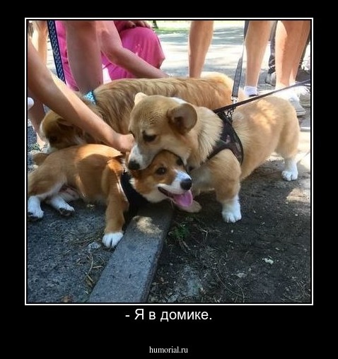 - Я в домике.