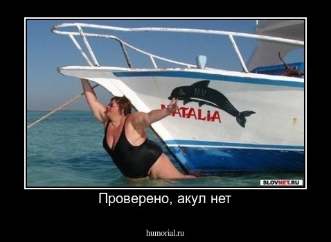 Проверено, акул нет