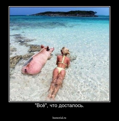 "Всё", что досталось.