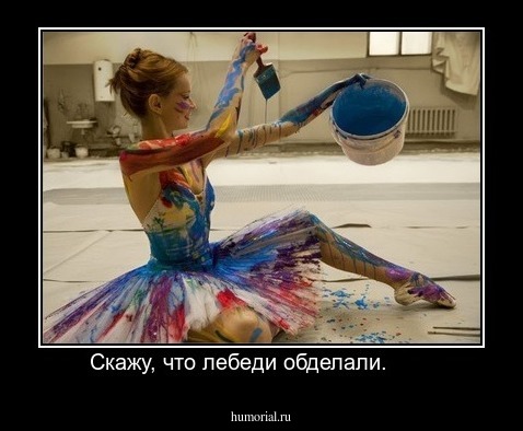 Скажу, что лебеди обделали.       