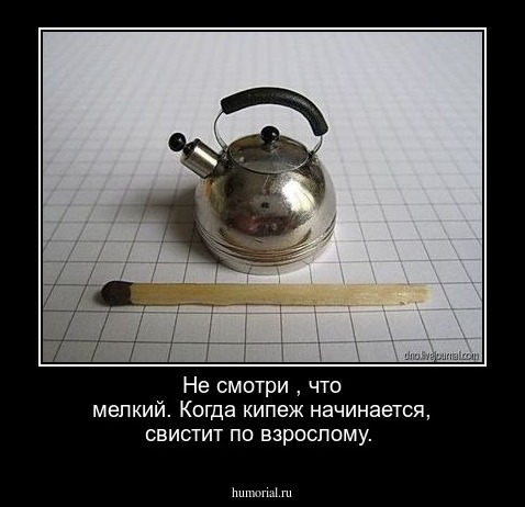 Не смотри , что мелкий. Когда кипеж начинается, свистит по взрослому.