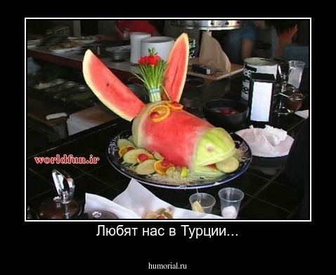Любят нас в Турции...