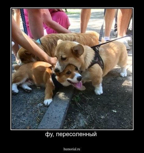 фу, пересоленный 