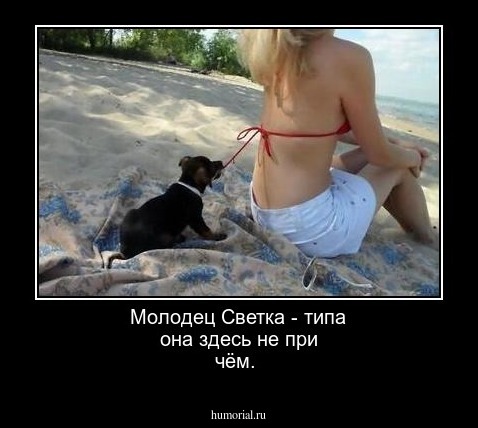 Молодец Светка - типа она здесь не при чём.