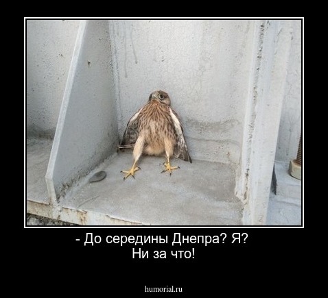 - До середины Днепра? Я? 
Ни за что!