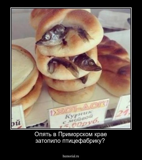 Опять в Приморском крае затопило птицефабрику?