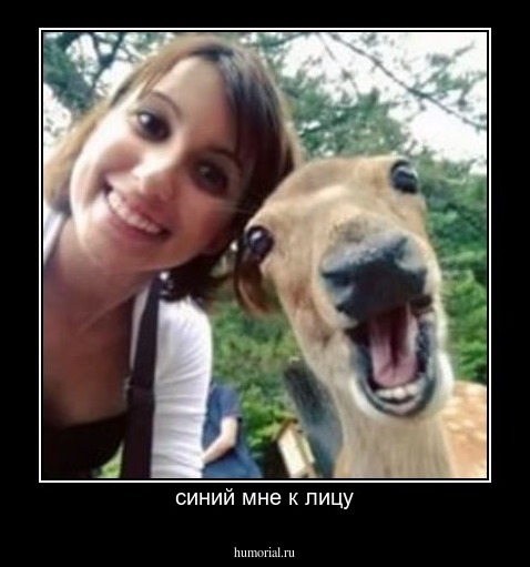 синий мне к лицу