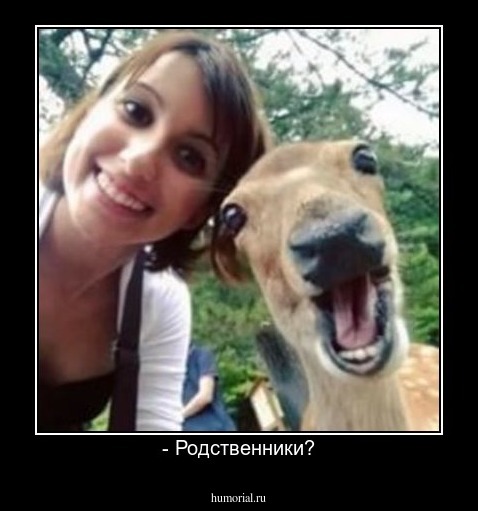 - Родственники?