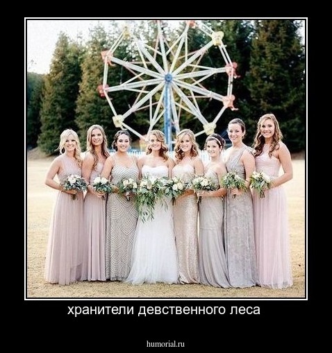 хранители девственного леса 