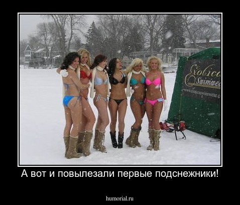 А вот и повылезали первые подснежники!