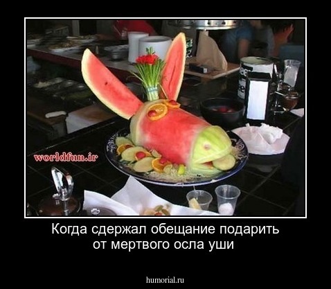 Когда сдержал обещание подарить от мертвого осла уши