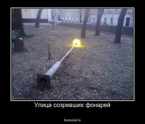 Улица созревших фонарей