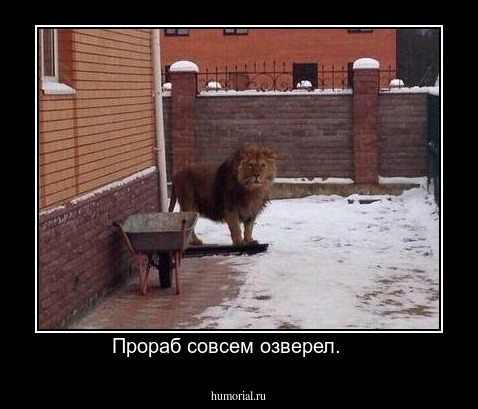 Прораб совсем озверел.    