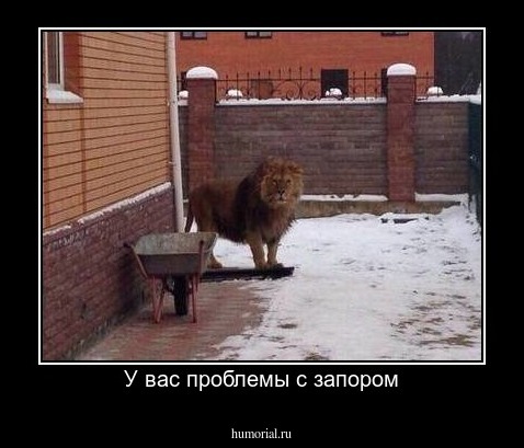 У вас проблемы с запором