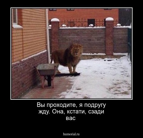 Вы проходите, я подругу жду. Она, кстати, сзади вас
