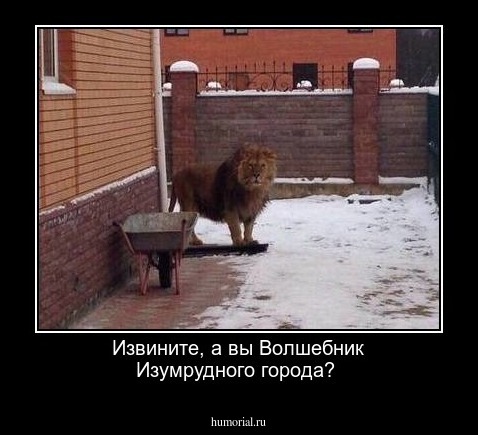Извините, а вы Волшебник Изумрудного города? 