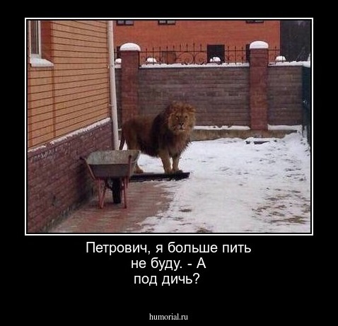 Петрович, я больше пить не буду. - А под дичь?