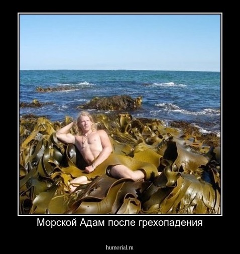 Морской Адам после грехопадения