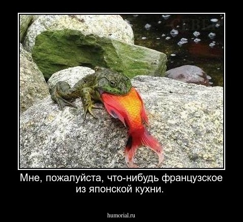 Мне, пожалуйста, что-нибудь французское из японской кухни.